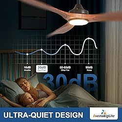 BvenuBigLite Outdoor Ceiling Fan with Light: 52