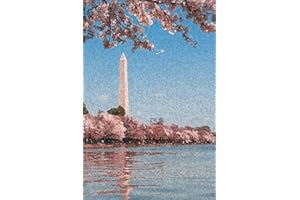 Washington D.C. Cherry Blossom Notebook