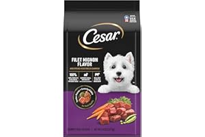 Cesar Small Breed Dry Dog Food Filet Mignon Flavor and Spring Vegetables Garnish, 5 lb. Bag
