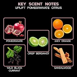 LOVSPA UPLIFT Pomegranate Citrus Reed Diffuser Oil