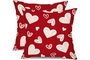 DFXSZ Valentine's Day Pillow Covers 18x18 Inch Set of 2 White Hearts Decor Red Throw Pillow Covers Valentine's Day Cushion Case Decoration for Sofa Couch