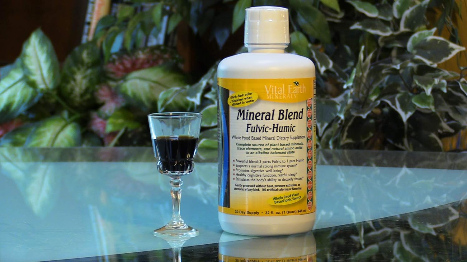 2 Pack of Vital Earth Minerals Mineral Blend Fulvic-Humic -32 Fl. Oz. - 1 Month Supply (Each) 64 oz total- Vegan Liquid Ionic Trace Mineral Multimineral Supplement - Almost Tasteless - Plant Based: Health & Personal Care