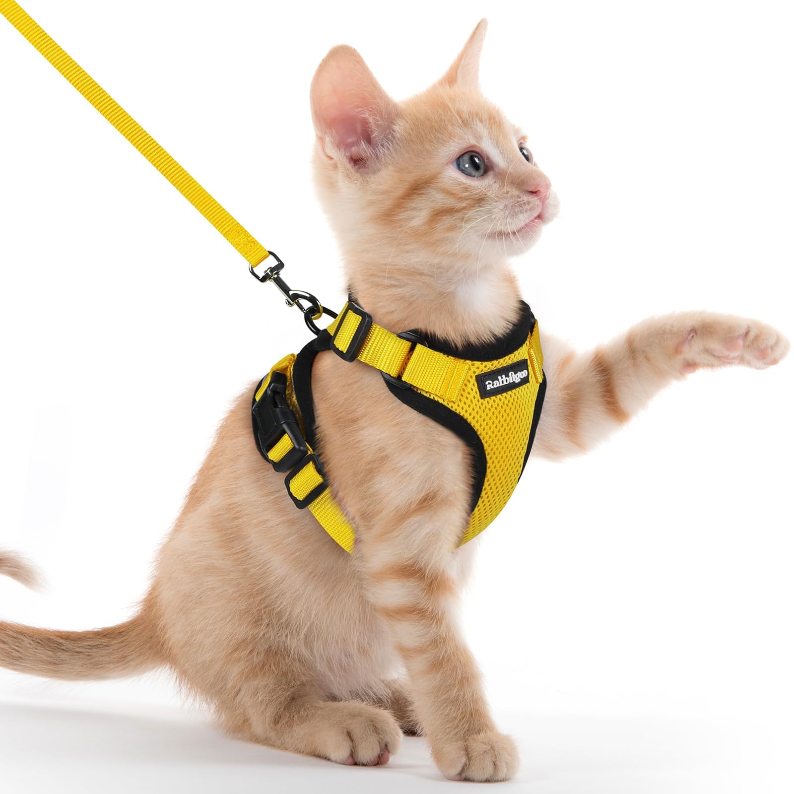 rabbitgoo Cat Harness and Lead Set, Adjustable Escape Proof Cat Lead for Walking, Reflective Kitten Harness Set, Soft and Comfortable for Kittens and Small Cats, Yellow, XXS