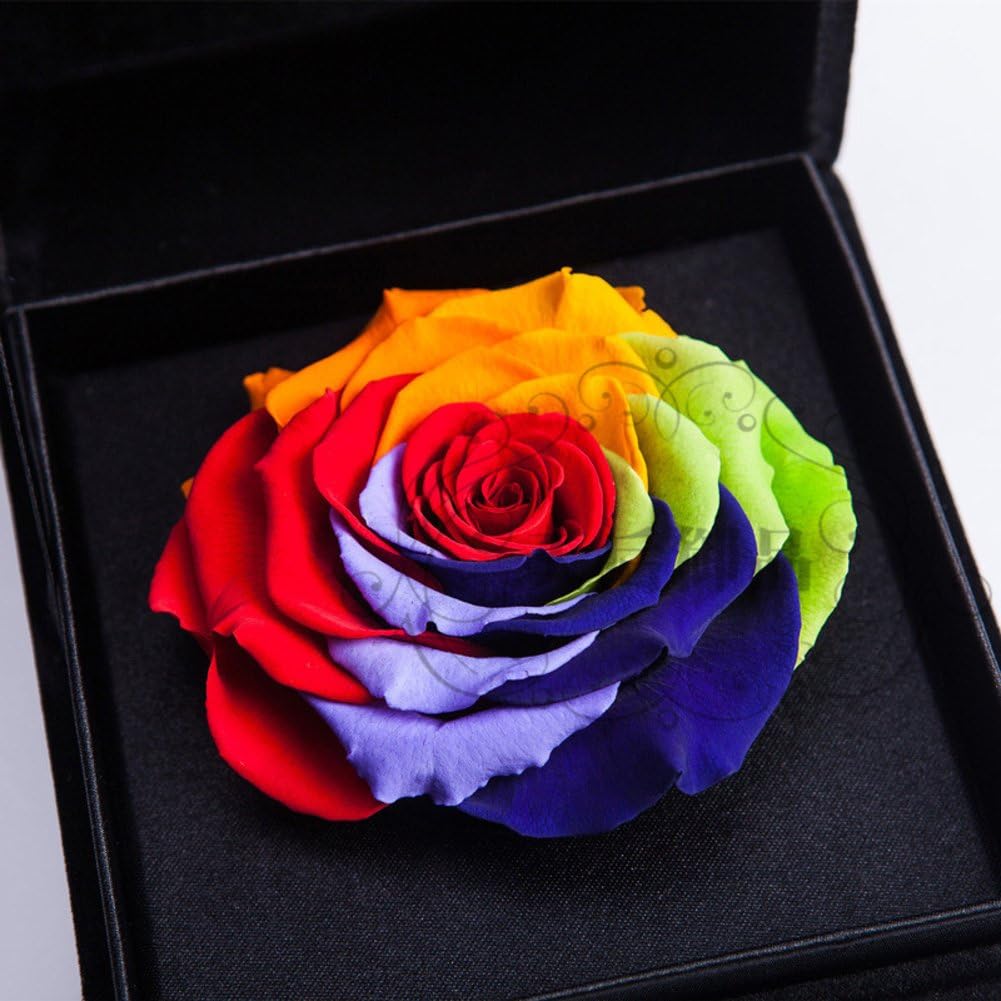 Colorido rosa eterna flor caja de regalo Día de la madre-A: Amazon.es: Hogar