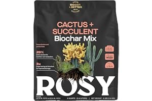 ROSY SOIL Cactus and Succulent Organic Potting Soil Mix for House Plants - Fast Draining, Root Boosting, Peat-Free, Less Prone to Gnats - Drought-Tolerant - Growth of Aloe Vera, Cacti and Indoor Succulents- 4qt