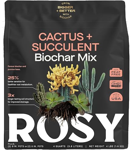 Succulent Soil Potting Mix World's Best Cactus & Succulent Soil Mix With  Fertilizer - Large Flat Rate Box Full Cactus Bulk