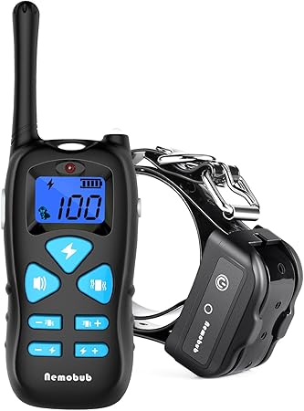 live fish for sale near me