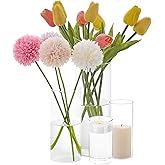 4 Pcs Glass Cylinder Vases Set, 4/6/8/10 Inch Modern Flower Vases for Centerpieces, Bud Vase Arrangements & Floating Candles – Wedding/Christmas/Home Decor Essentials