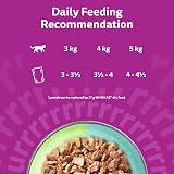 Whiskas Duo Adult Wet Cat Food in Jelly 12x85g Mixed Medley Pack of 4 view 4