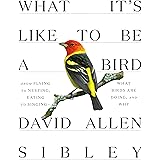What It's Like to Be a Bird: From Flying to Nesting, Eating to Singing--What Birds Are Doing, and Why (Sibley Guides)