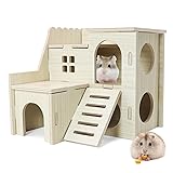 Hamster Hideout Tiny Maze Wood House with Slide
