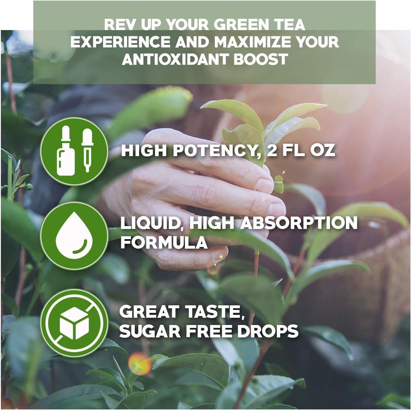 Green Tea Fat Burner - with EGCG Green Tea Extract Liquid, Max Potency for Weight Loss Support & Energy, 10 Cups of Green Tea Natural Antioxidants Polyphenols & Caffeine Non-GMO Alcohol & Gluten Free: Health & Personal Care