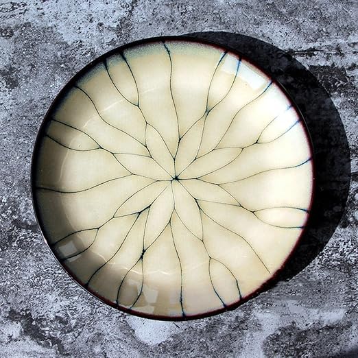 BaoKangShop Platos para microondas Platos de Sushi de ...