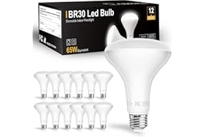 dalattin 12 Pack BR30 LED Bulbs 65W Equivalent, Dimmable Indoor Flood Lights 5000K Daylight White, 9W, 800 Lumens, E26 Base, LED Recessed Light Bulb for Living Room, Bedroom, Bathroom, Kitchen