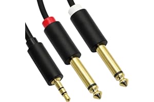 GINTOOYUN 3.5MM to Dual 6.35MM Audio Cable,1/8" TRS Stereo Male to Dual 1/4" TS Mono Male Y Splitter Cord Adapter,for Home St