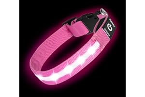 PETISAY Super Bright LED Dog Collar - Fully Waterproof & Adjustable Glow Collar - USB-C Rechargeable for Night Walking, Safety(Pink,S)