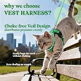 rabbitgoo Cat Harness and Lead Set XS Grass Green Adjustable Escape Proof view 3