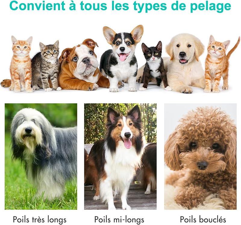 P1 Pro Brosse Chat, Brosse Chien, Tondeuse professionnelle pour chats et chiens, Aspirateur de poils 13000 Pa, Silencieuse 52 dB, 5 Outils de toilettage pour poils courts, longs et épais