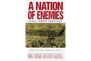 Nation of Enemies Chile Under Pinochet
