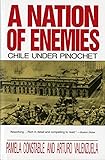 A Nation of Enemies: Chile Under Pinochet