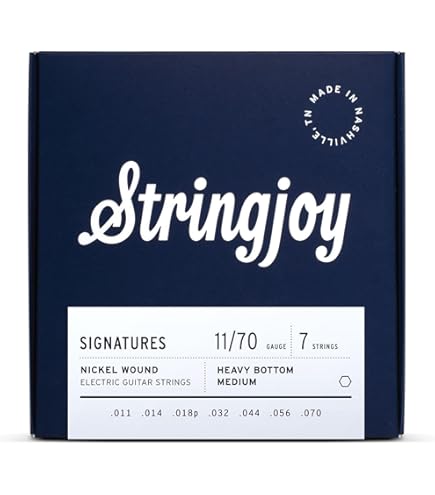 Amazon.com: Stringjoy DRP11 Signatures Nickel Wound Guitar Strings