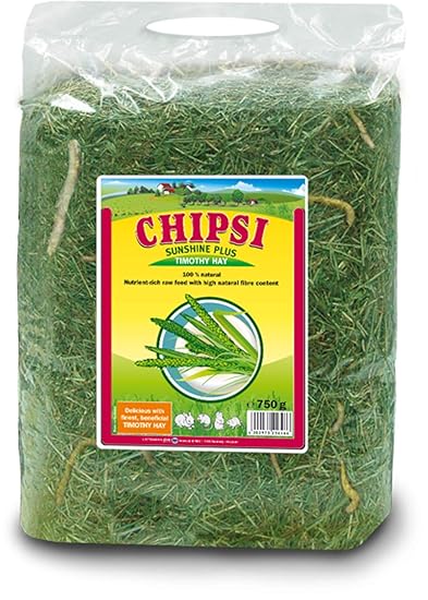 extreme weather pet door medium