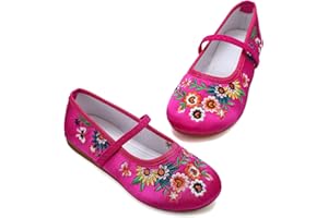 ANPROITY Encanto Costume Shoes Mary-Jane Flats Shoes Round Toe Low Wedge Ballet Flats Floral Embroidery Shoes for Girls Halloween Cosplay Dress Up