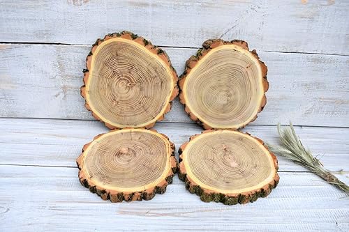 Amazon Com Four 10 4 12 Acacia Wood Slices Rustic Cake Stand