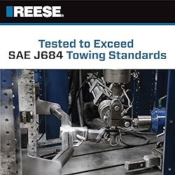 REESE Towpower 74059 Towing Safety Chain, 5,000