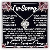 Chiside I'm Sorry Necklace For Her, Im Sorry Neckace Gift, Apology Necklace For Her Women, Forgive Me Gifts For Her, I'm Sorry For Hurting You Neckace, Apologize Gift For Wife Girlfriend Soulmate