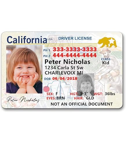 Amazon.com: 1 Cute Pooch Kid Novelty Driver License Child Safety