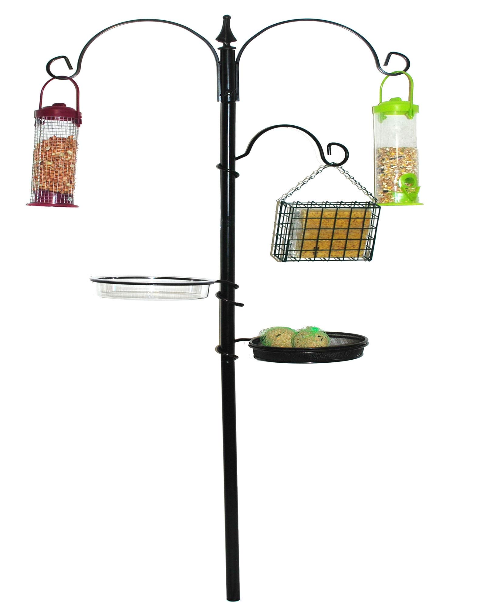 Kingfisher Bird Feeding Station