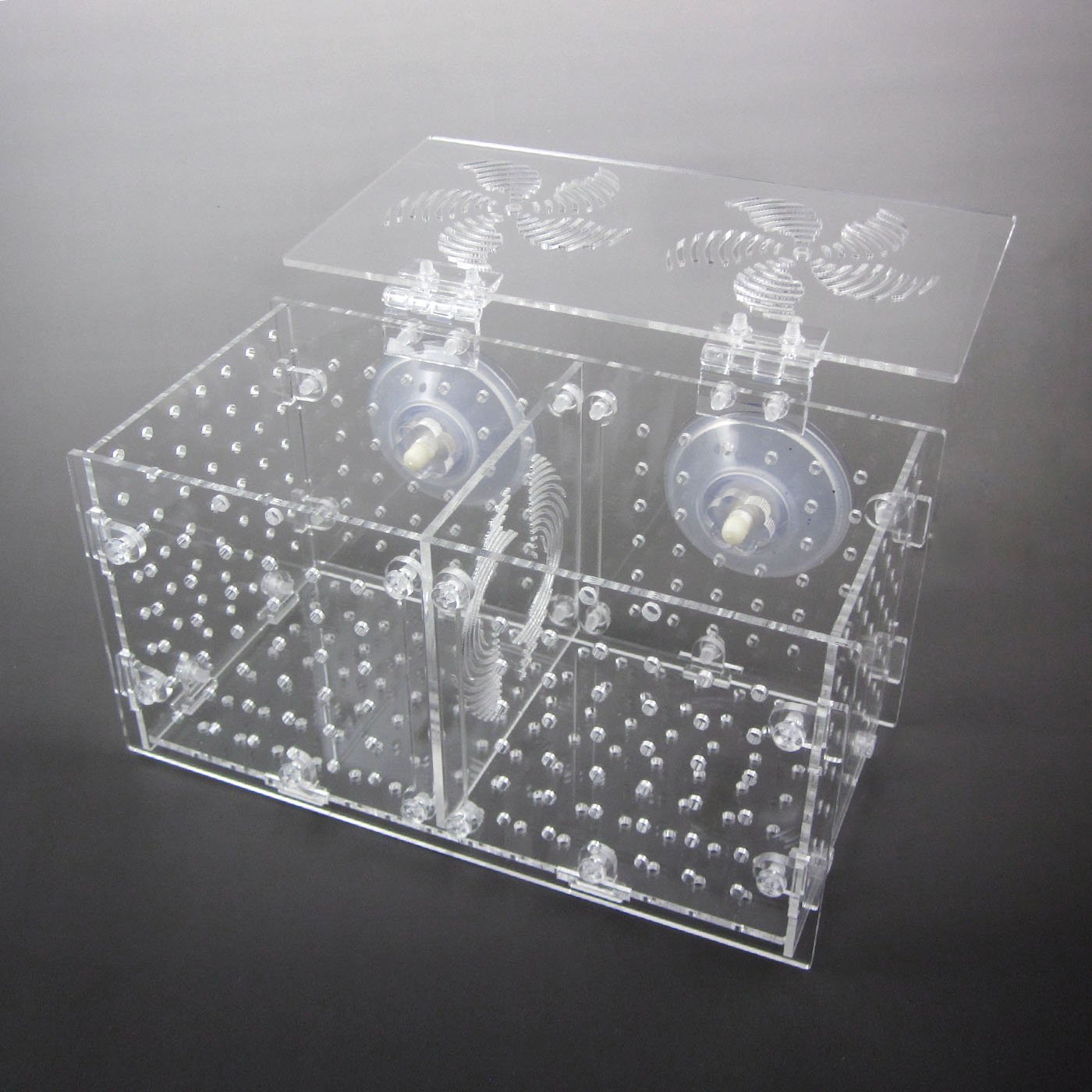 The 10 Best Fish Aquarium Building Kit