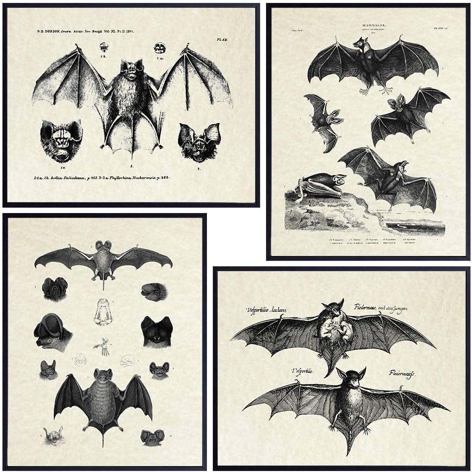 Wall Décor - Bats Wall Decor - Vintage Retro Hipster Goth Art, Home or Room Decoration - Gift for Gothic, Horror, Vampire Fans - 8x10 UNFRAMED Creepy Scary Anatomical Picture Poster Print Set
