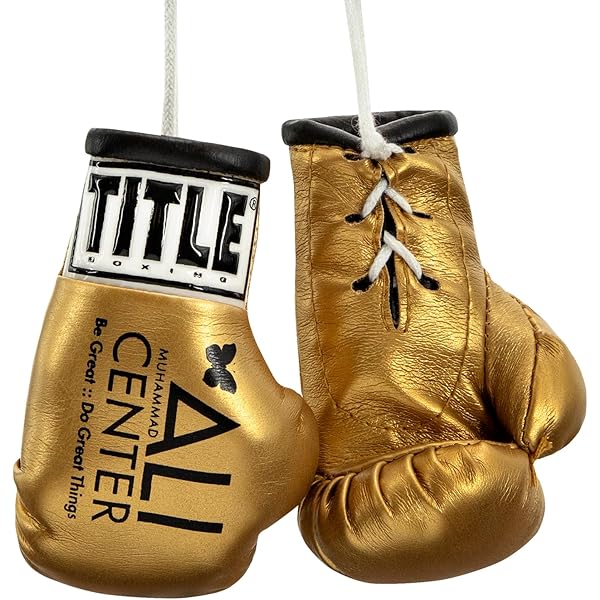 Amazon.com : Title Boxing Mini Boxing Glove, Black : Sports