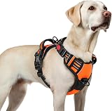 rabbitgoo Large Dog Harness No Pull Front Back Clips Reflective Orange L
