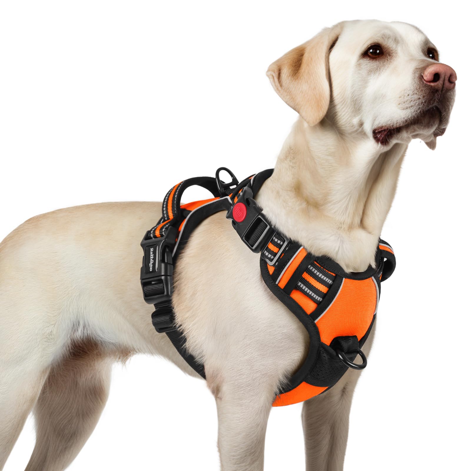 rabbitgoo Dog Harness Large Dog with Neck Release Buckle, No Pull Harness with Front Back Clips, Adjustable Soft Padded with Easy Control Handle, Reflective No-choke Pet Walking Vest, Orange, L