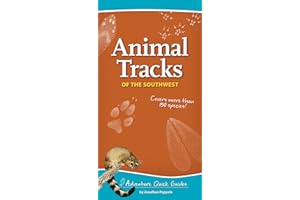 Animal Tracks of the Southwest: Your Way to Easily Identify Animal Tracks (Adventure Quick Guides)