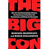 The Big Con: How the Consulting Industry Weakens Our Businesses, Infantilizes Our Governments, and Warps Our Economies