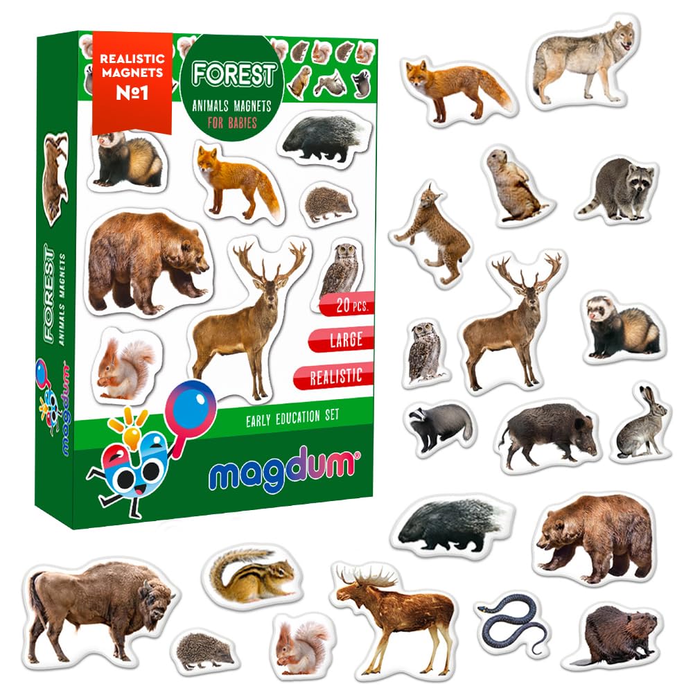 Forest Animal Magnets for Kids - Magdum - 20 Large Fridge Magnets - Realistic Woodland Animals Learning Toy for Toddlers - Educational Preschool Set - Strong Durable Safe Magnets - Kids Gift โ image 1