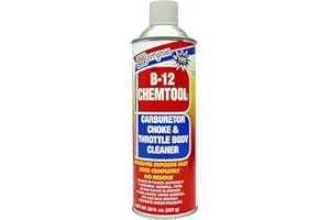 Berryman B-12 Carburetor, Choke and Throttle Body Cleaner – 20 oz (Pack of 1)
