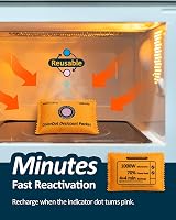 wisedry 100g Rechargeable Color-Indicating Desiccant Packets view 5