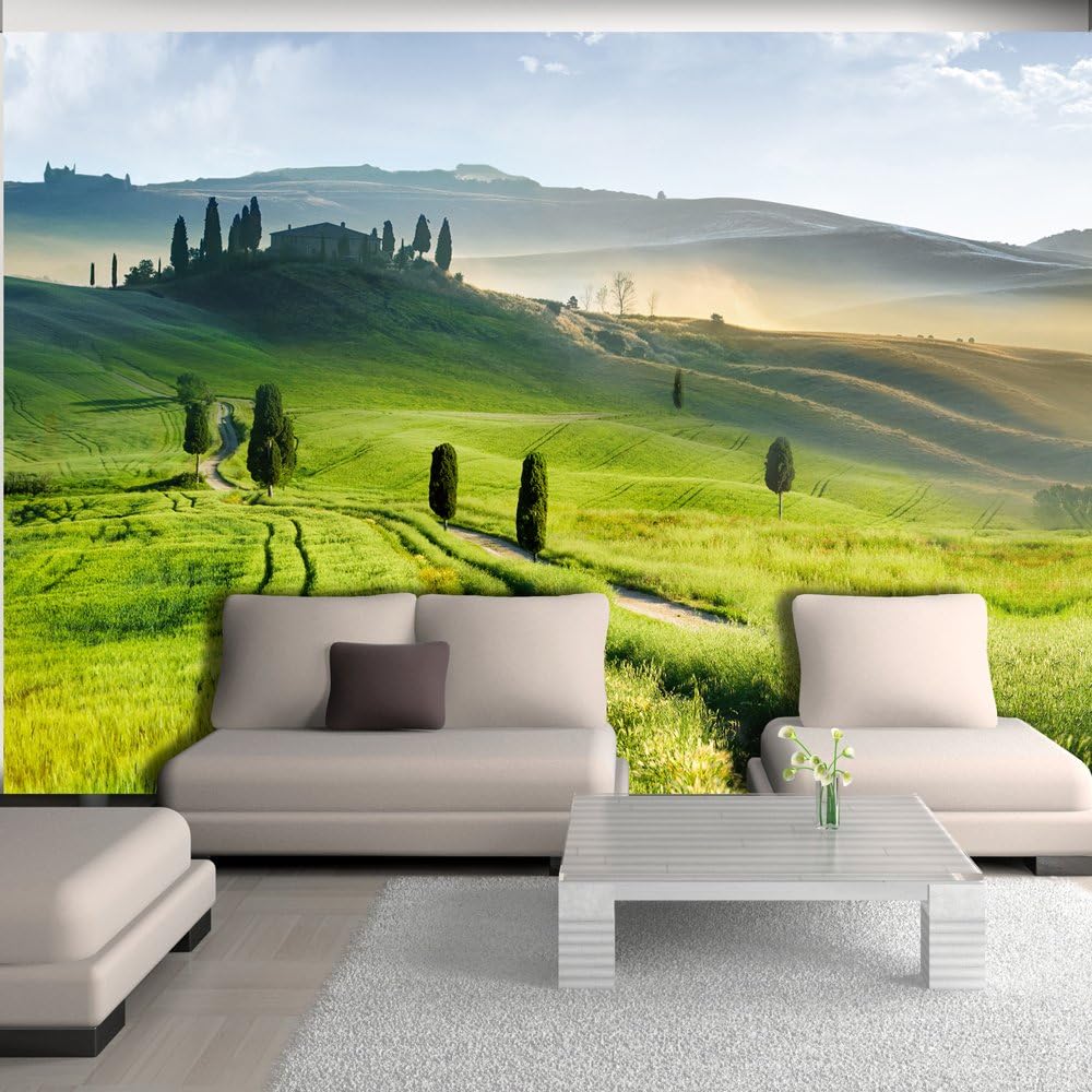 Murando Papier Peint Intisse 100x70 Cm Decoration Murale Xxl Poster Tableaux Muraux Tapisserie Photo Trompe Loeil Nature 10110903 5 Papiers Peints Bricolage