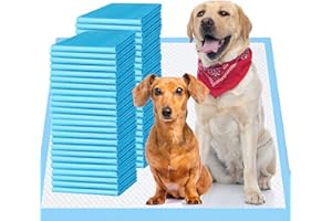 BULUBAKY Upgrade Leak-Proof Pet Training and Puppy Pads, Jumbo Pee Pads for Dogs with Thicken Polymer Heavy Absorbency, Quick Dry Disposable Pee Pads for Cats Dogs (30, Regular 28''x34'')