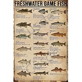 Cusde Freshwater Game Fish Tin Sign Vintage Retro Decor Signs Wall Decorations Wall Art Poster Plaques for Home Farm Store Garage Club Bar Kitchen Pub Funny Gift 8x12 Inch