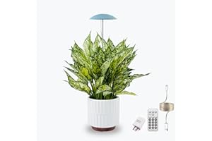 LED Grow Lights for Indoor Plants, Smart USB Small Full Spectrum Plant Lights with Remote, Height Adjustable, Auto On/Off Tim