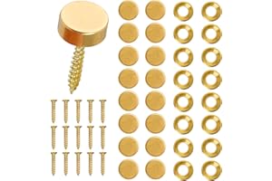 Aemygo 16 Pcs Brass Decorative Screw with Caps, 12mm (1/2") Retro Mirror Decorative Caps Fixing Screw Covers for Furniture Fixing, Wall Hanging, Fasteners Hardware