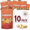 Freeze Dried Fruit Mango Slices - 10 Pack Single-Serve, No Added Sugar Package - 8.8 Oz 100% Natural Freeze Dried Snacks for 30 Servings