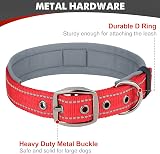 Joytale Reflective Dog Collar Medium Ultra Soft Neoprene Padded view 5