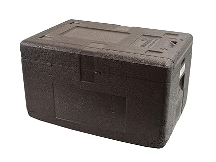 Nevera portátil seco Hielo Storo Pack Thermo caja con tapa ...